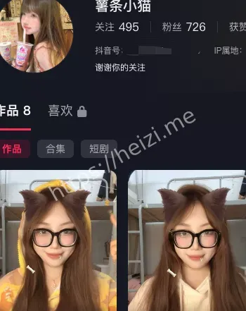 薯条小猫