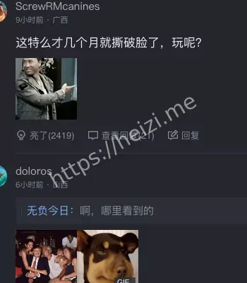 黑子有料