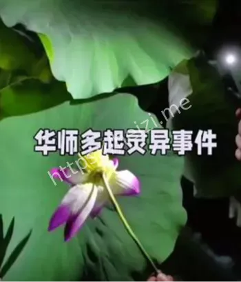 鬼影怪声