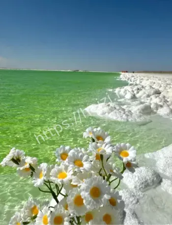 青海湖