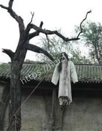 神秘村庄