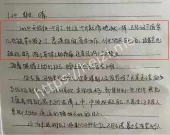 日记曝光