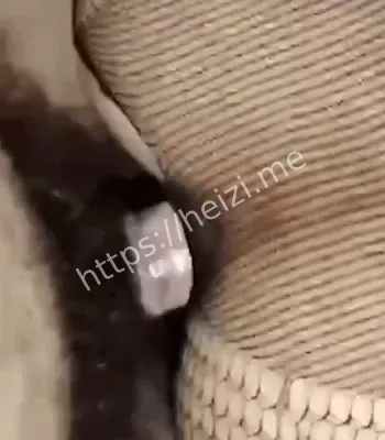 曝光