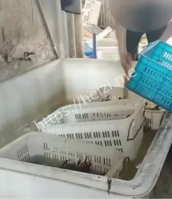 食品安全