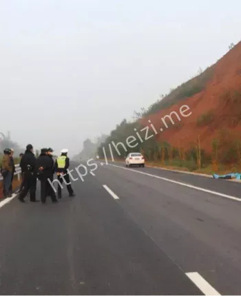 抛尸案