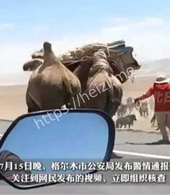 牧民殴打游客
