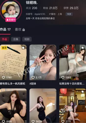 锦鲤晚