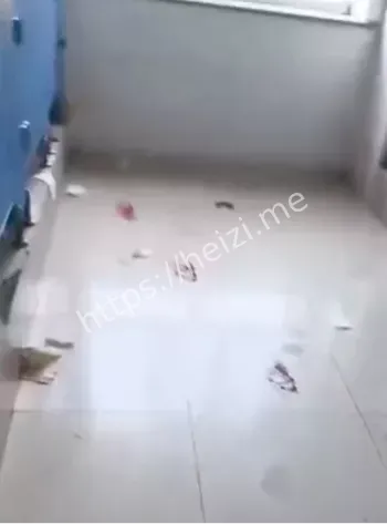 大学生