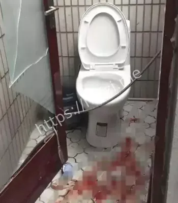 校园黑料