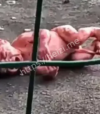 大学生