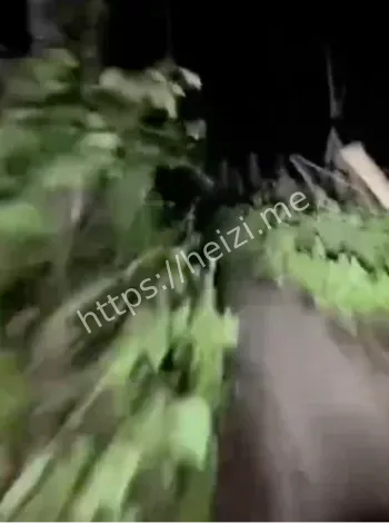灵异事件