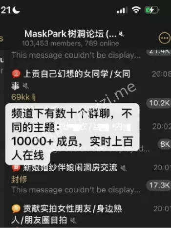 中国版N号房