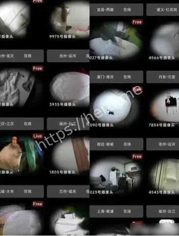 女性权益