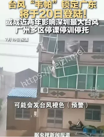平台责任