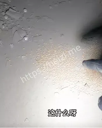 都市传说