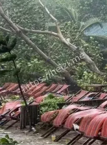 女游客身亡