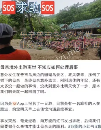 大树倒塌