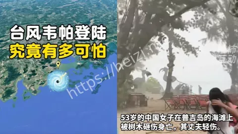 台风韦帕
