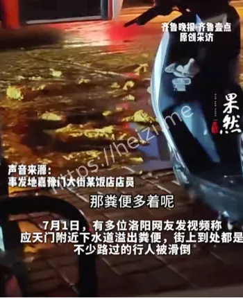 飞翔之路