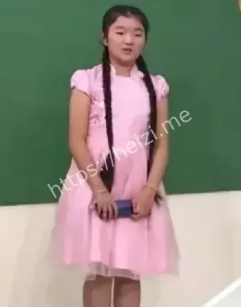 翻唱歌手