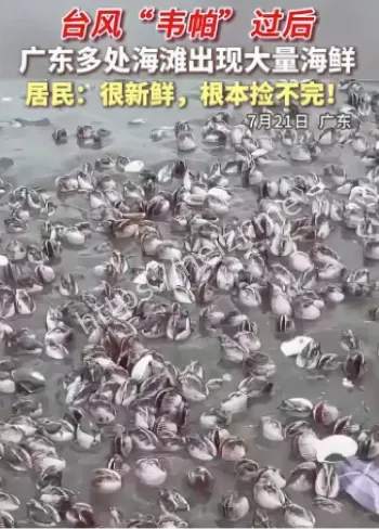 银滩热潮