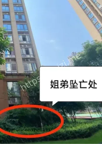 姐弟坠亡案