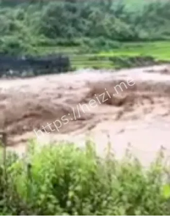 黑子网