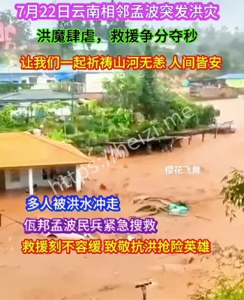 网友视频