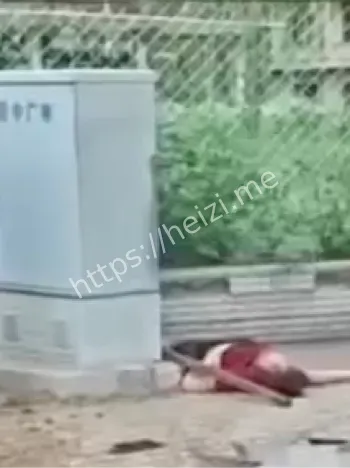 斑马线悲剧