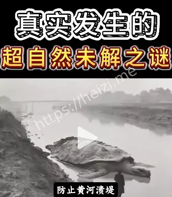 滨州怪事