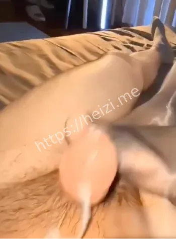 网红