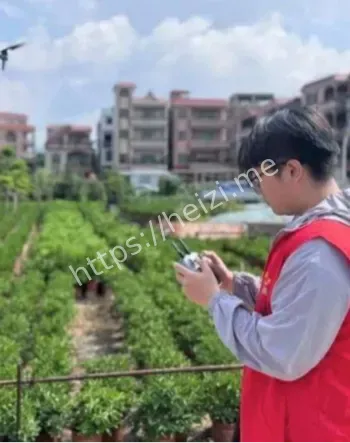 基孔肯雅热