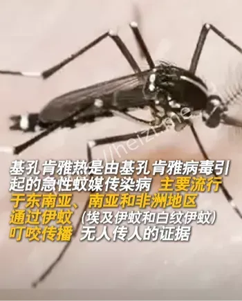 轻症激增