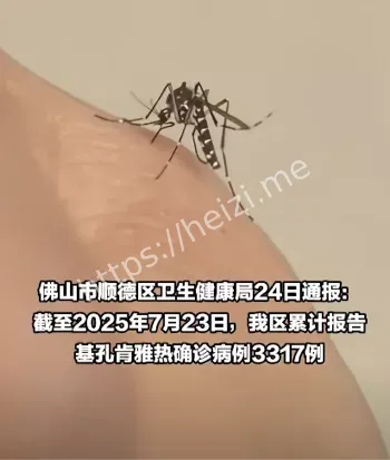 人工消杀