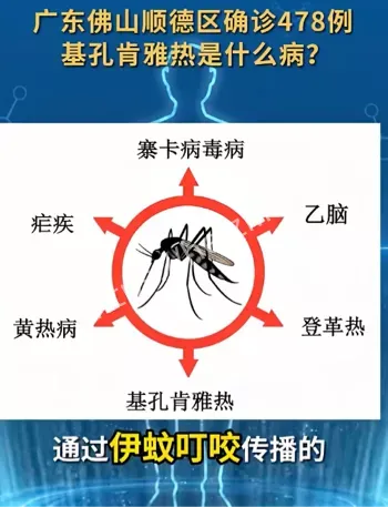 环境卫生
