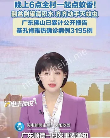 基孔肯雅热