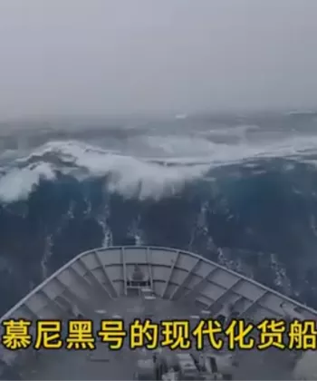 疯狗浪