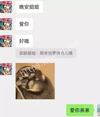 小鲜肉