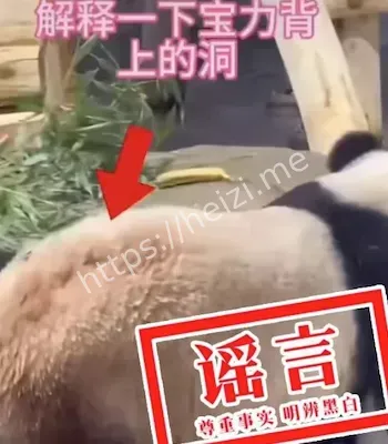 骗捐