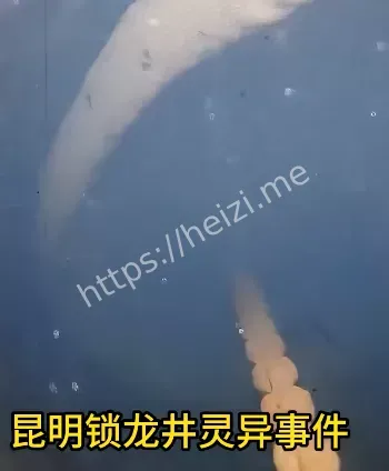 锁龙井