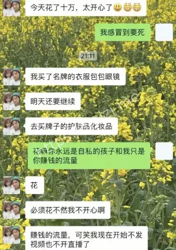 农村人设