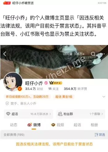 蒙面演唱会