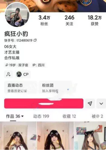 疯狂小豹