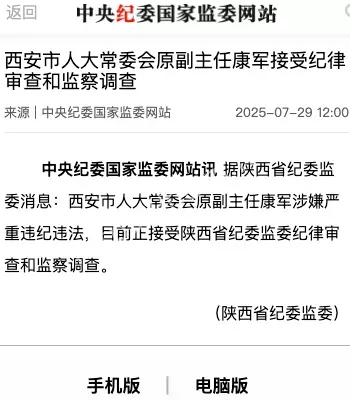 中央巡视组