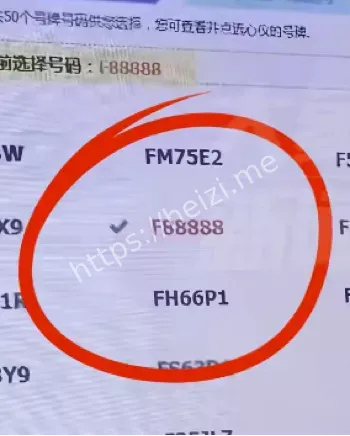 五个八车牌
