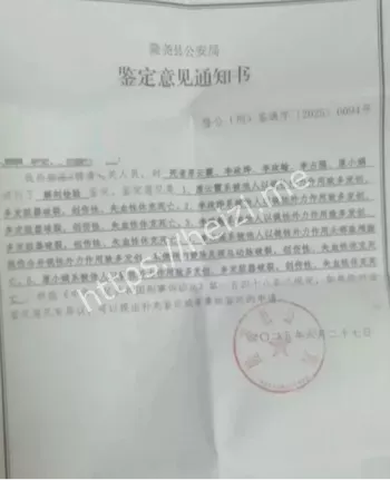 法律严惩