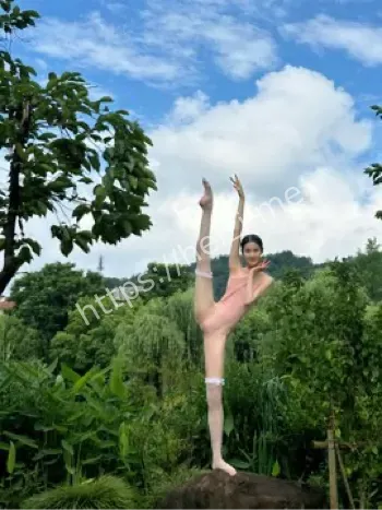 推特网红