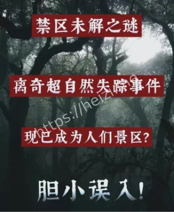 749揭秘