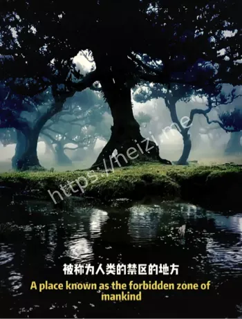 黑子网
