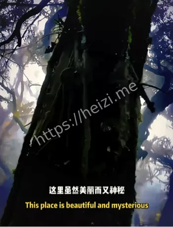 749揭秘